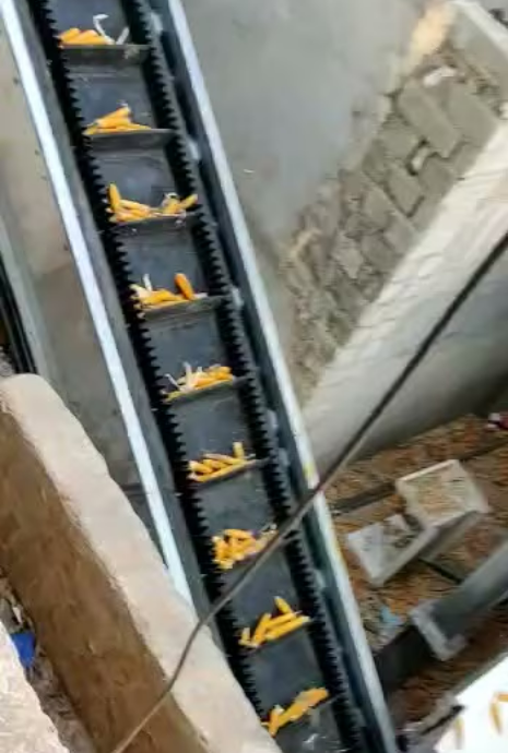 Conveyor Belts